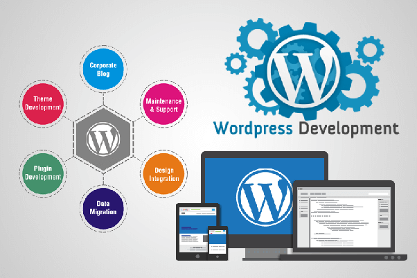 Why You Need a Skilled WordPress Developer